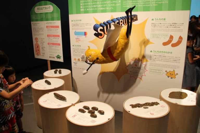 日本、東京－種類 2014年8月 (東京)