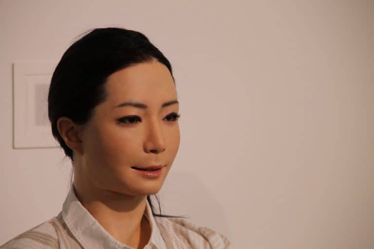 日本、東京－ロボット 2014年8月 (東京)