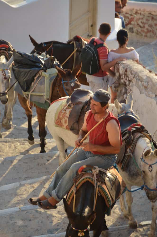 Greece, Santorini, Oia – on the donkey, Aug.2013 (Santorini)