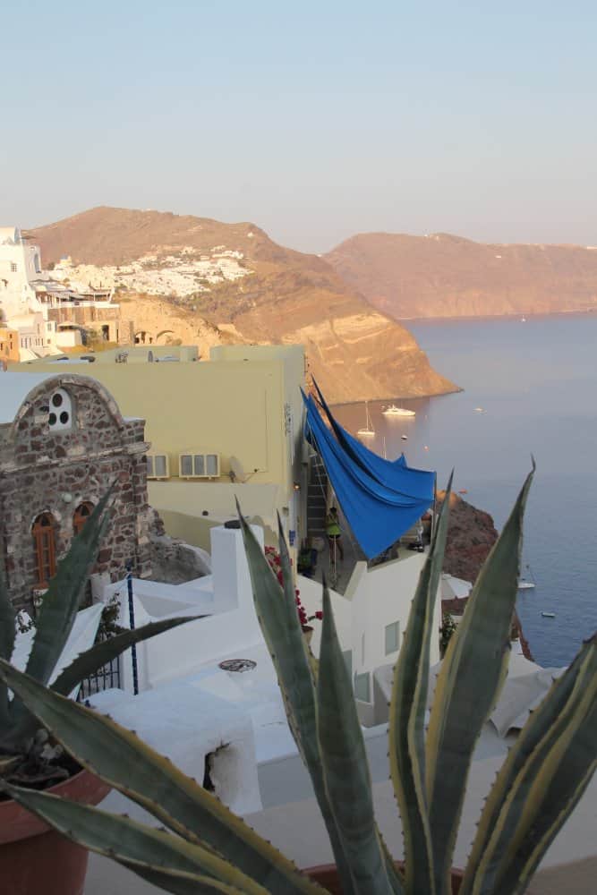 Greece, Santorini, Oia – plant, Aug.2013 (Santorini)