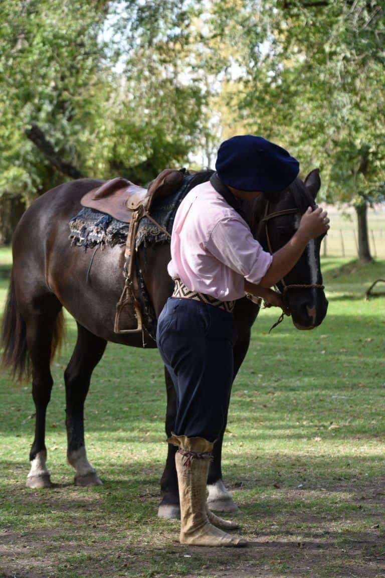 El Ombu – taming a horse 1, Mar.2018 (Buenos Aires)
