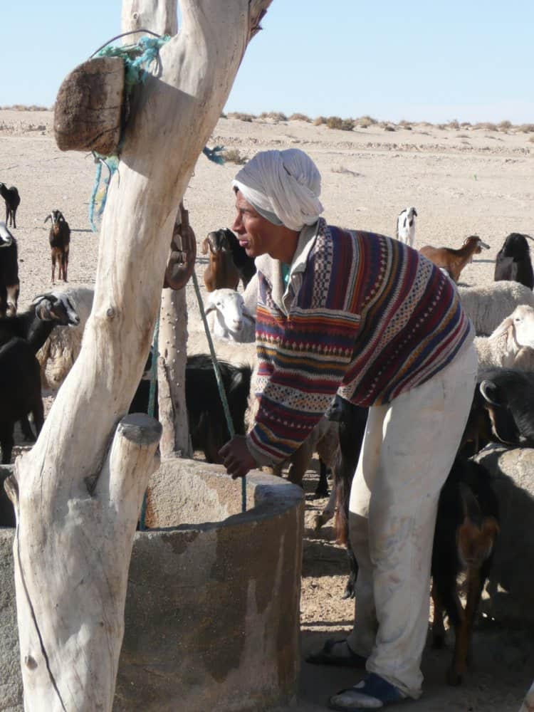 Tunisia, Ong El Jemel – shepherd, Dec.2008 (Tozeur)