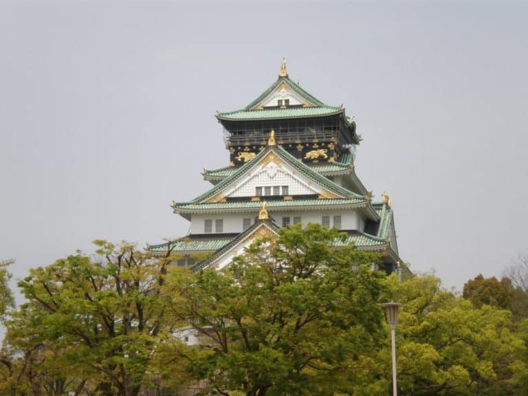 Giappone, Osaka – castello e alberi, aprile 2013 (Osaka)