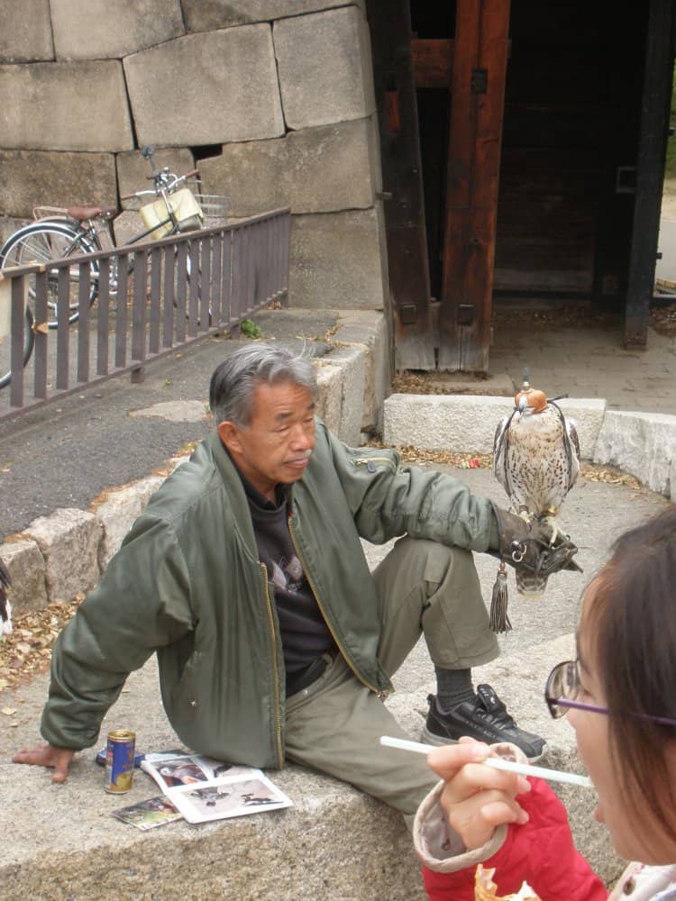 Giappone, Osaka – falconiere, aprile 2013 (Osaka)