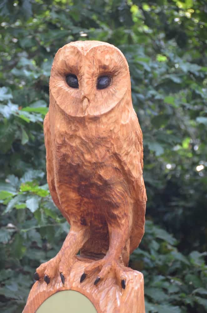 England, Isle of Wight – statue of owl, Sept.2014 (Isle of Wight)