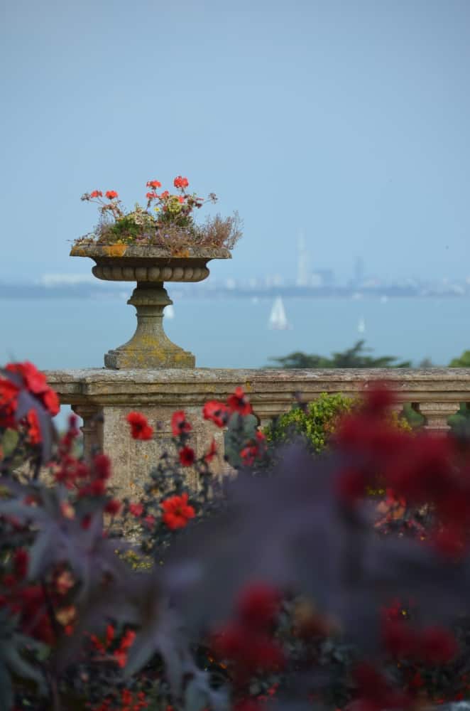 England, Isle of Wight – garden with flowers, Sept.2014 (Isle of Wight)