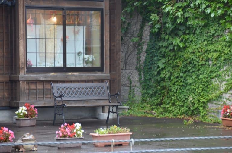 Giappone, Otaru – edera, set. 2014 (Otaru)