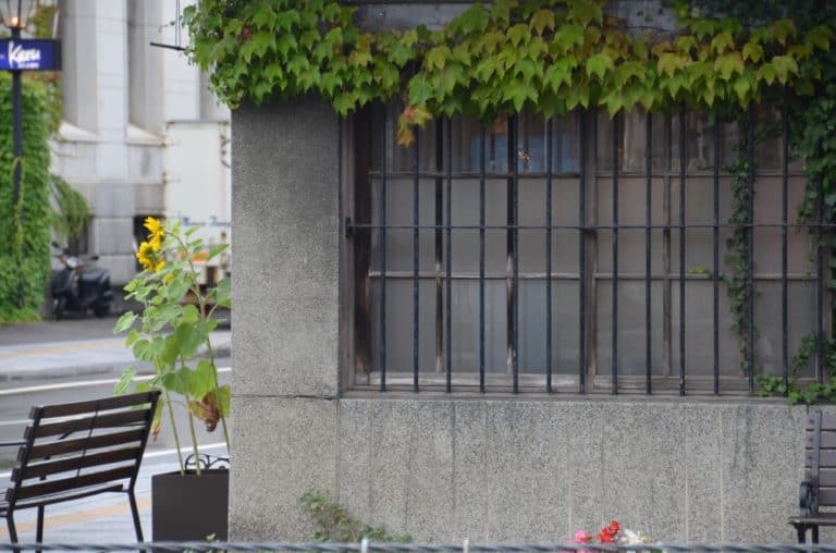 Giappone, Otaru – finestra, panchina e fiori set. 2014 (Otaru)