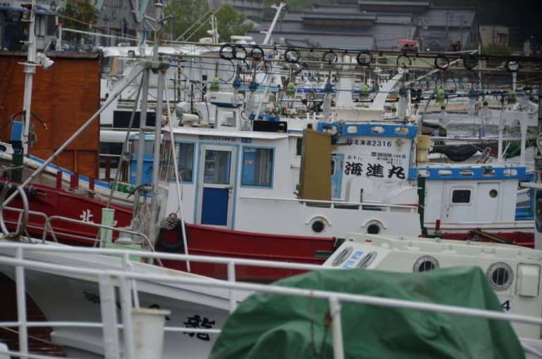 Giappone, Otaru – pescherecci, set. 2014 (Otaru)