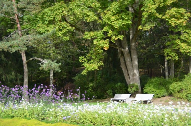 リトアニア、パランガ－ベンチがある公園 2014年9月 (パランガ)
