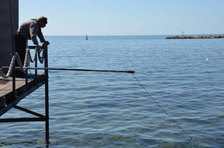 Paphos – aspettando il pesce, Apr.2015 (Paphos)