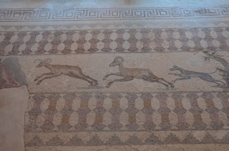 Paphos – mosaico 4, Apr.2015 (Paphos)