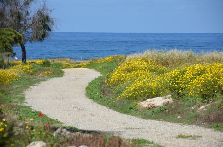 Paphos – sentiero, Apr.2015 (Paphos)