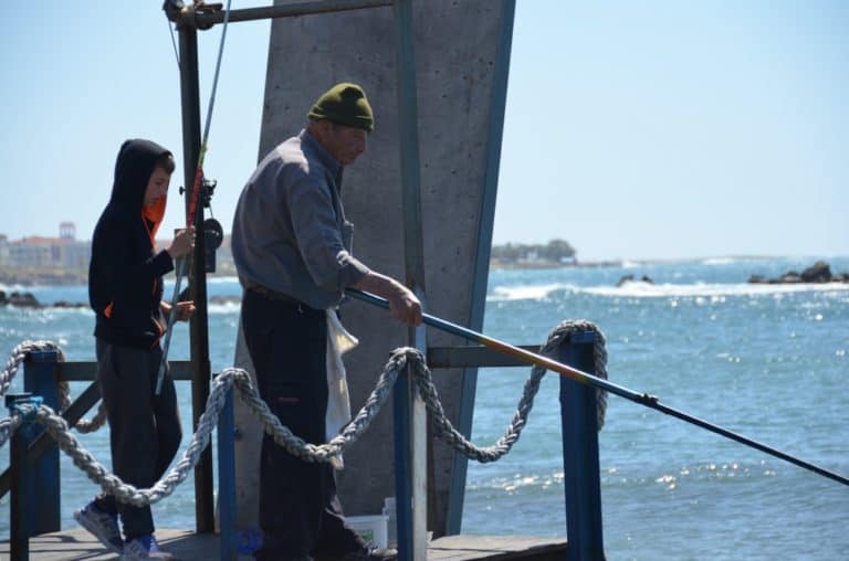 Paphos – pescando, Apr.2015 (Paphos)