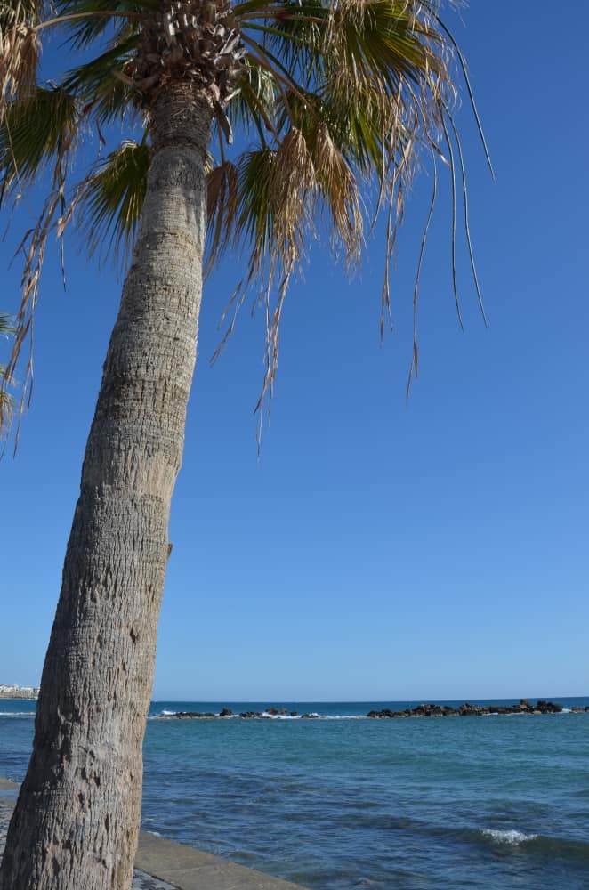Paphos – regione meridionale, Apr.2015 (Paphos)