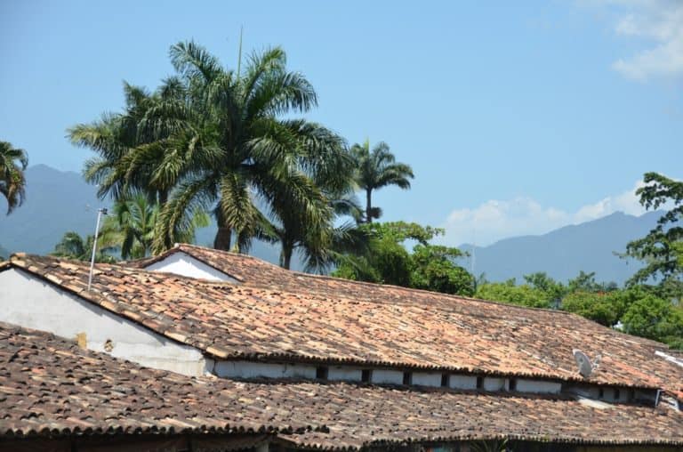 città – tetti e alberi, Gen.2016 (Paraty)