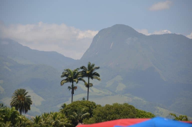 porto – due alberi, Gen.2016 (Paraty)