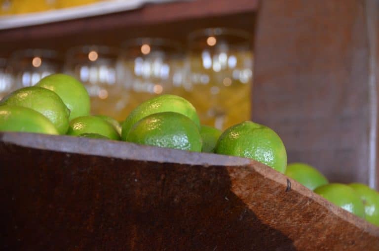 ristorante – lime, Gen.2016 (Paraty)