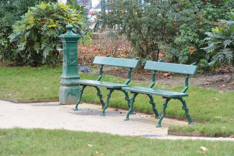 Paris 2019 (22) (París)