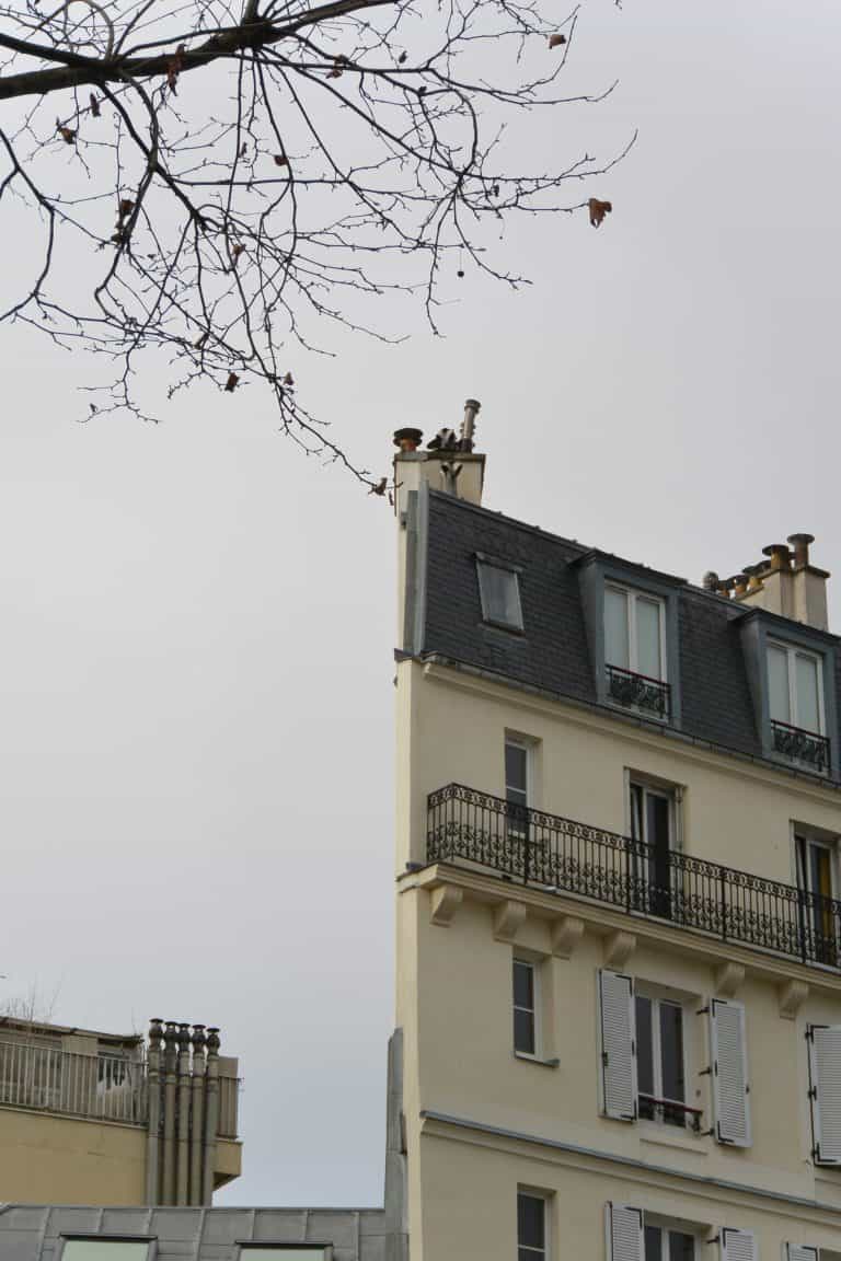 Paris 2019 (35) (París)