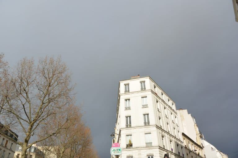 Paris 2019 (36) (París)