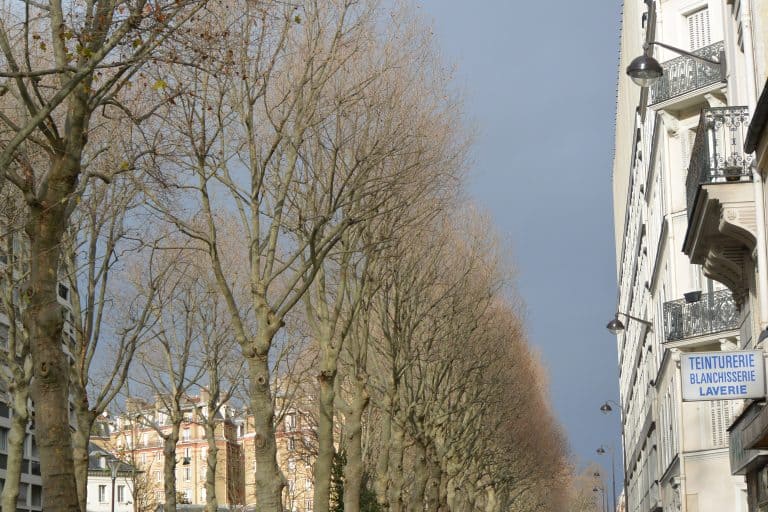 Paris 2019 (37) (París)