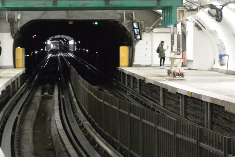 Paris 2019 (45) (Parigi)