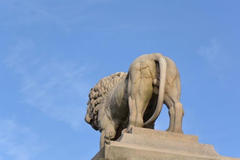 Paris 2019 (48) (Parigi)