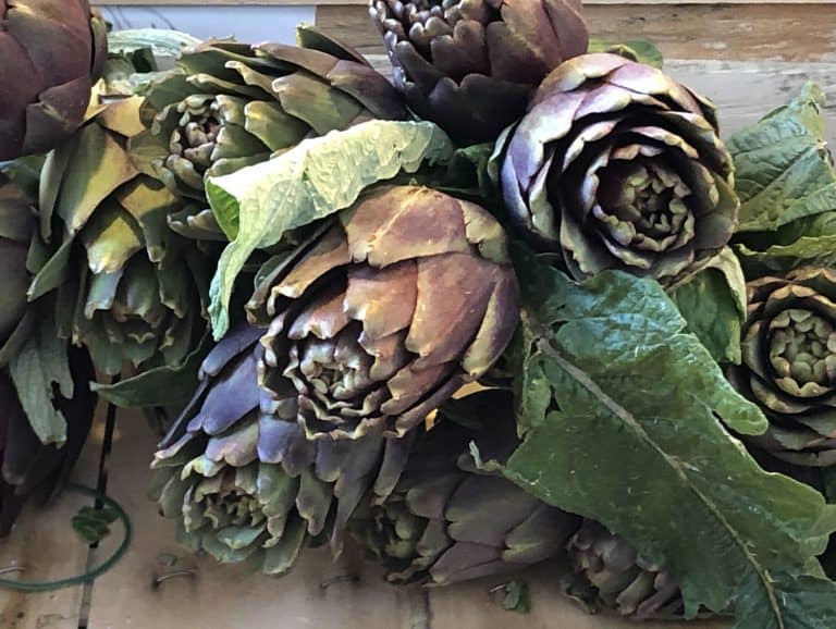 Fruta y Verdura