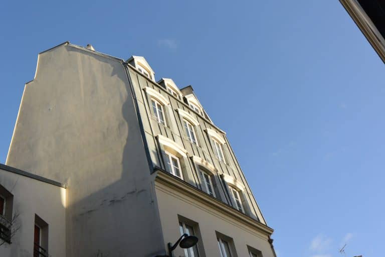 Paris 2019 (8) (París)