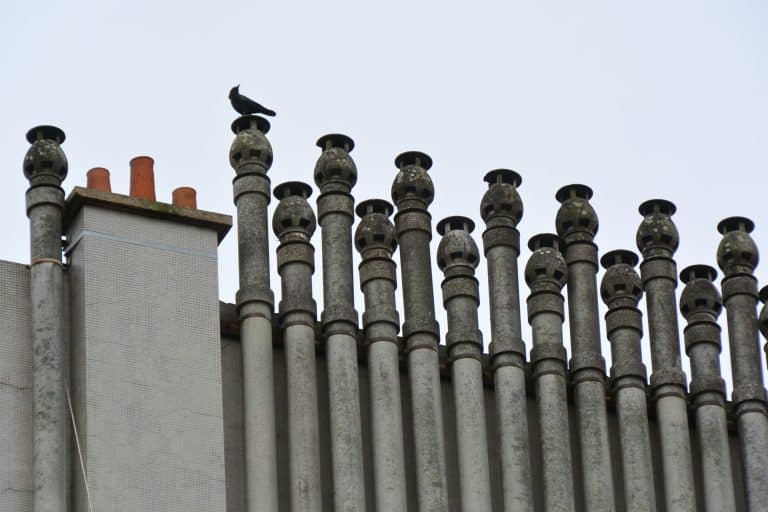 Paris 2019 (81) (Paris)