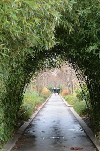 France-Paris-Promenade Plantée-bamboo tunnel