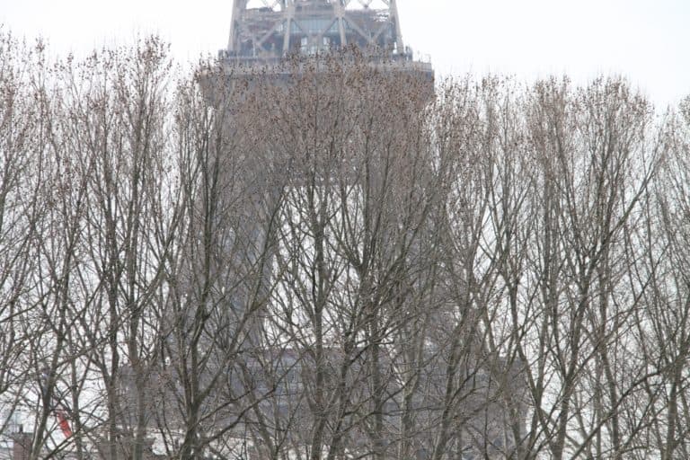 Eiffel Tower and vicinity – tower behind trees, Mar.2015 (París)