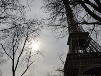 Eiffel Tower and vicinity – wine, Mar.2015