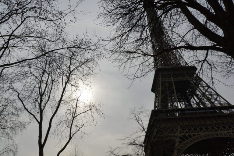 Eiffel Tower and vicinity – tower, trees and light, Mar.2015 (París)