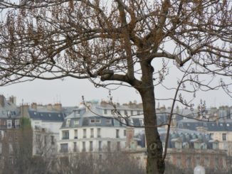 Eiffel Tower and vicinity – lamp, Mar.2015