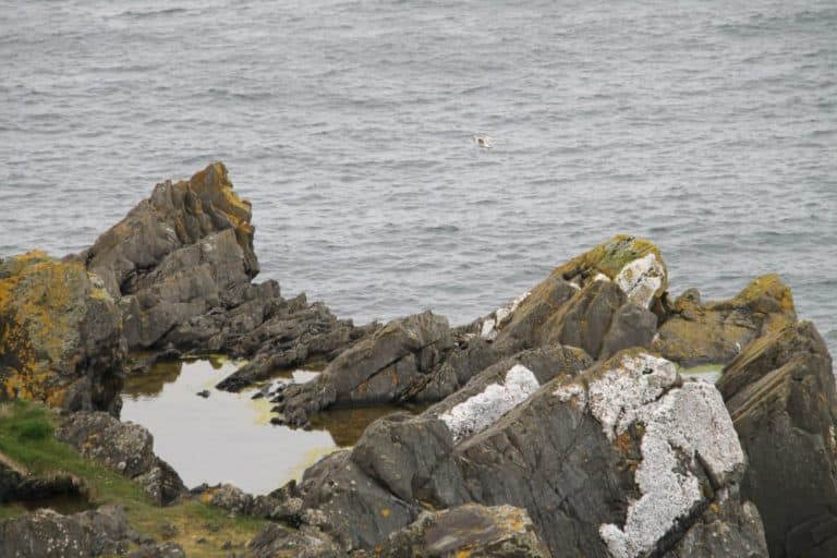 Isola di Man, Peel – rocce, mag. 2014 (Isola di Man)