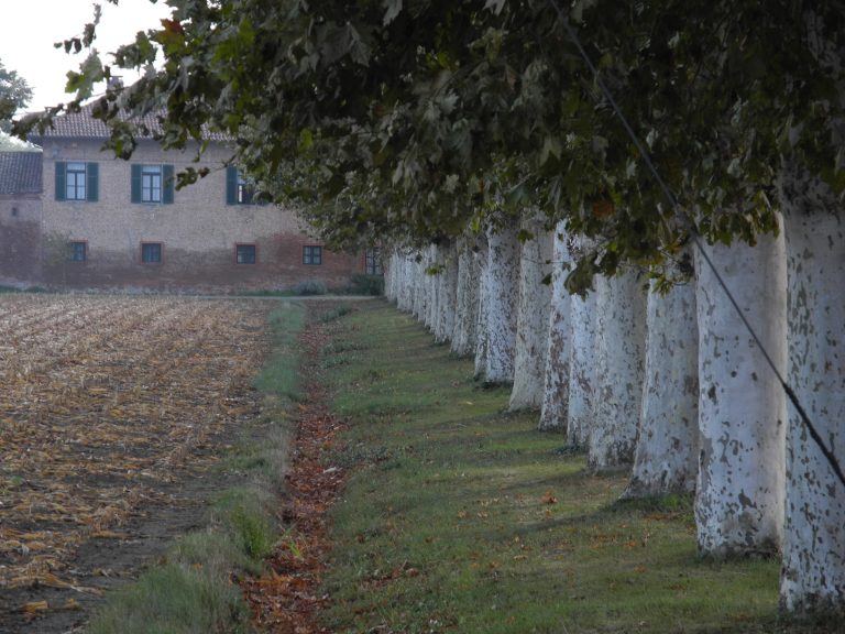 Piedmont (2) (Piemonte)