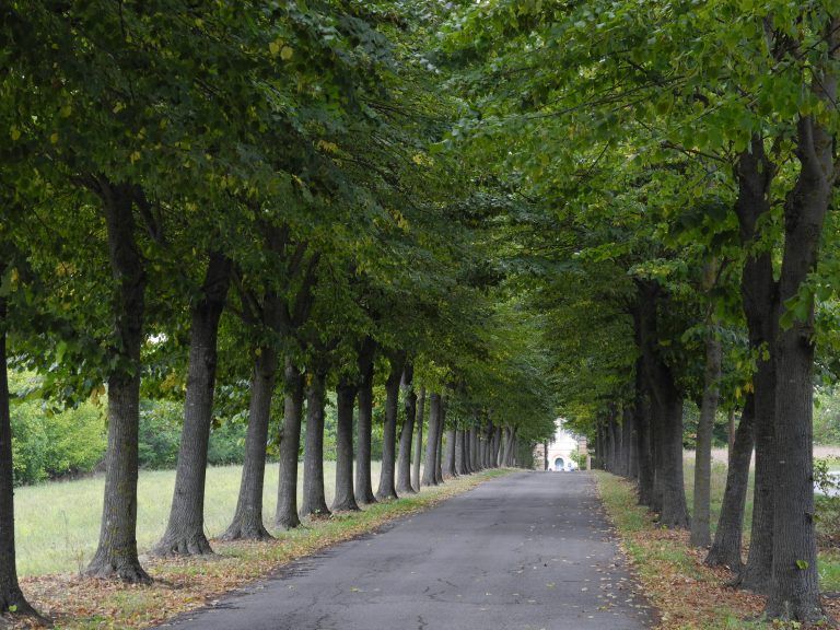 Piedmont (22) (Piemonte)