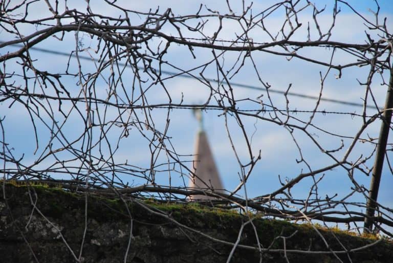 Slovenia, Piran – fence, Feb. 2014 (Piran)