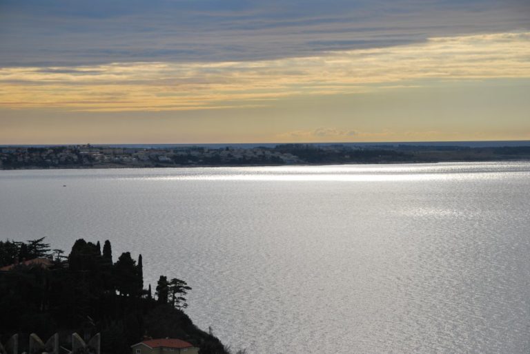 Slovenia, Piran – nature, Feb. 2014 (Piran)