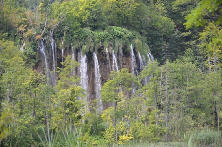 Plitvice (12) (プリトヴィツェ)
