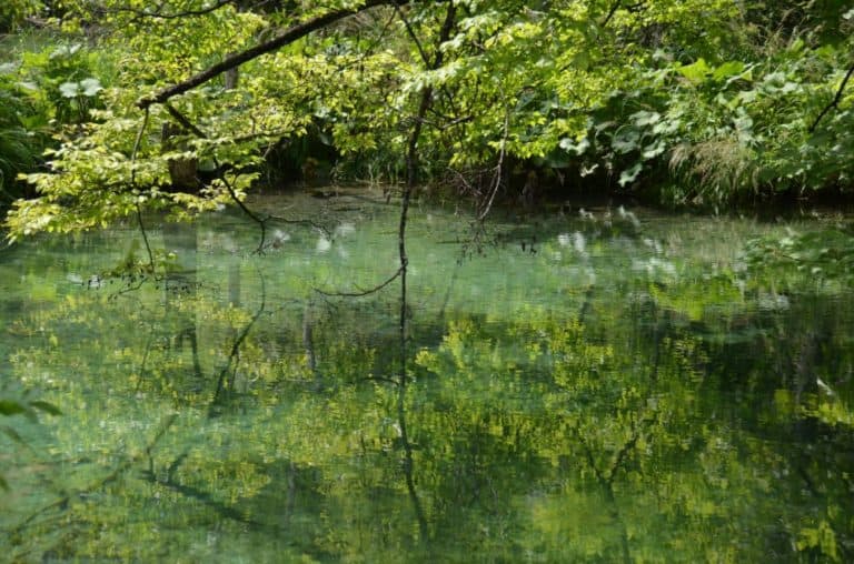 Plitvice (16) (プリトヴィツェ)