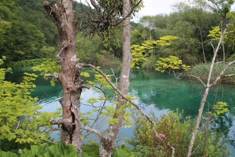 Plitvice (19) (プリトヴィツェ)