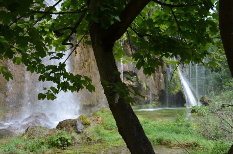 Plitvice (20) (プリトヴィツェ)