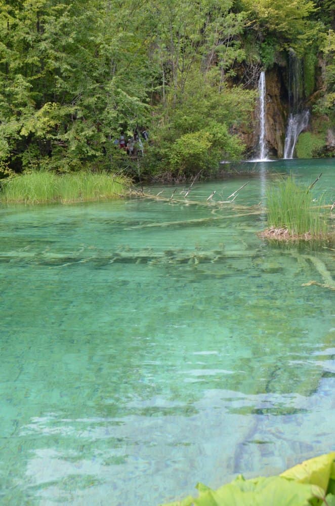 Plitvice (21) (プリトヴィツェ)