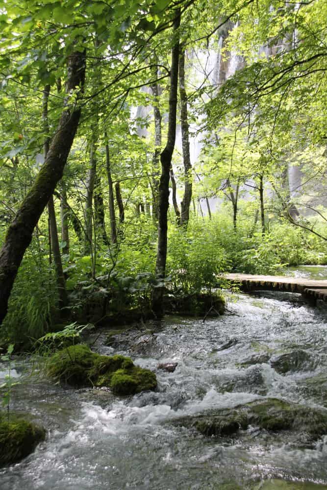Croatia, Plitvice – flow 2, July 2014 (Plitvica)