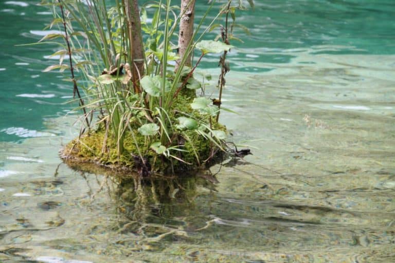 Croatia, Plitvice – surface, July 2014 (Plitvica)