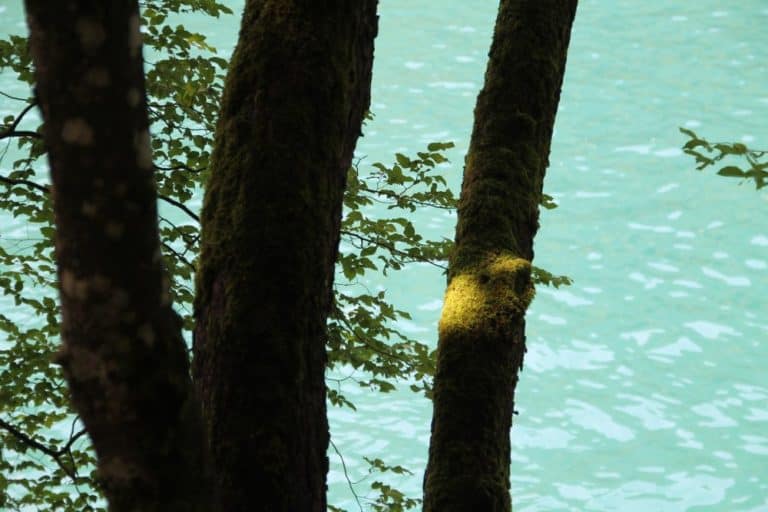 Croatia, Plitvice – light, July 2014 (Plitvica)
