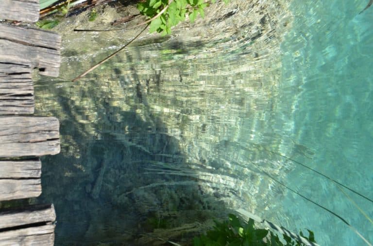Croatia, Plitvice – flow 1, July 2014 (Plitvica)